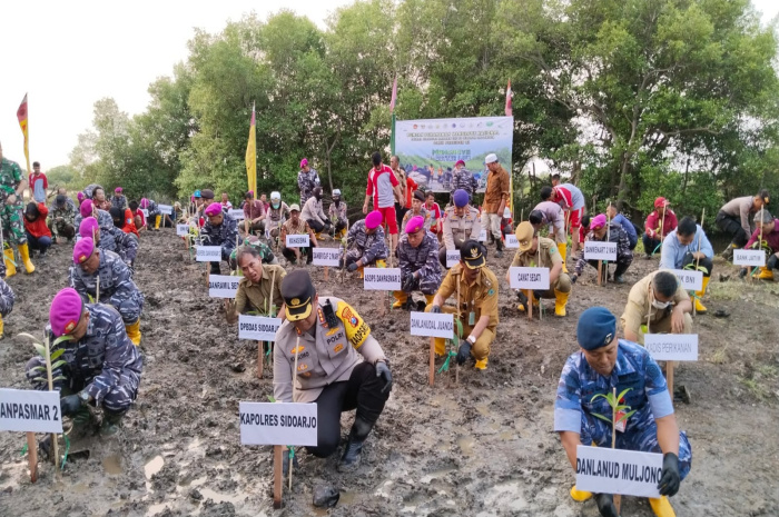 Danpasmar 2 pimpin Puncak Penanaman Mangrove Nasional Tahun 2023 yang berlangsung di wilayah Kalanganyar, Kecamatan Sedati, Kabupaten Sidoarjo