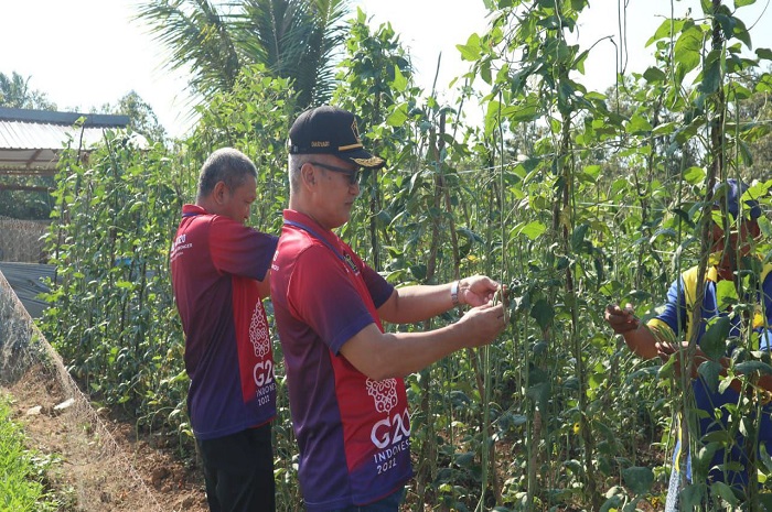 Rutan Tanah Grogot Panen Hasil Kebun Warga Binaan