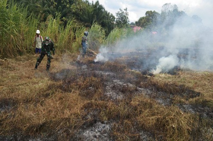 Lahan Seluas 10 Hektar di Longkali Kabupaten Paser Terbakar