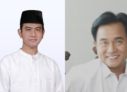 Emrus Sihombing Sebut Yusril Bisa Dipasangkan dengan Siapa Saja Jadi Bacawapes
