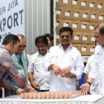 Jumlah Kekayaan Mentan Non Aktif Syahrul Yasin Limpo Bikin Geleng-geleng