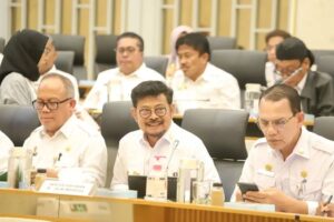 Syahrul Yasin Limpo Akan Menghadap Jokowi Usai Tersandung Korupsi