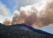 Lereng Gunung Argopuro Terbakar Hebat