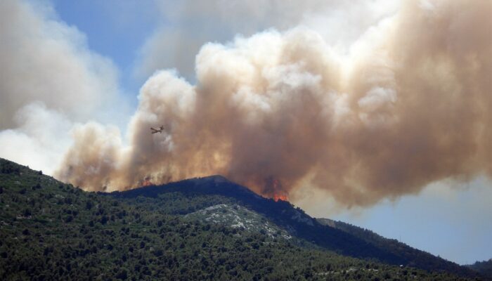 Lereng Gunung Argopuro Terbakar Hebat