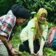 Seniman kondang asal Pasuruan, Cak Sodiq New Monata, merilis lagu berjudul "Lestari"