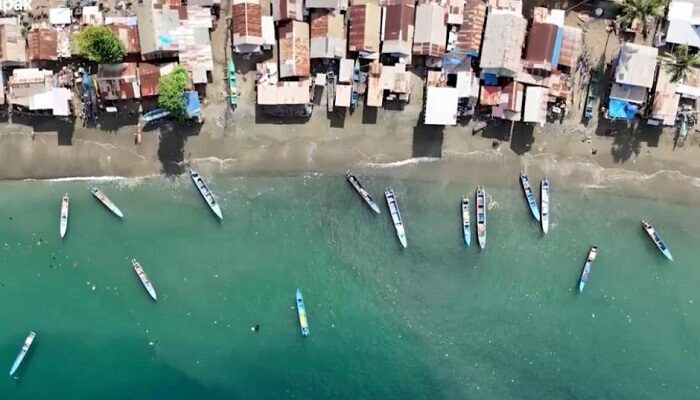Upaya Perkumpulan Telapak dalam Memastikan Pelestarian Alam di Pertambangan Nikel di Pulau Obi
