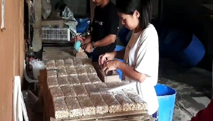 Jelang Akhir Tahun, Harga Kedelai di Boyolali Melambung Tinggi