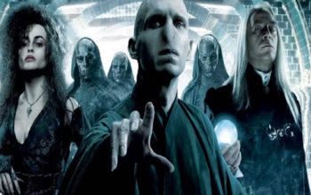 Walaupun banyak kelompok, organisasi, dan aliansi sebagai bagian dari pengetahuan luas Harry Potter