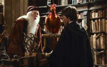 Fawkes Karekter Burung di Harry Potter