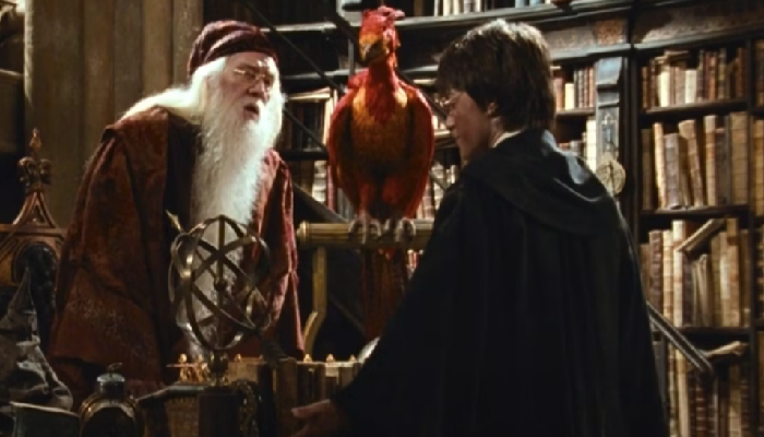 Fawkes Karekter Burung di Harry Potter