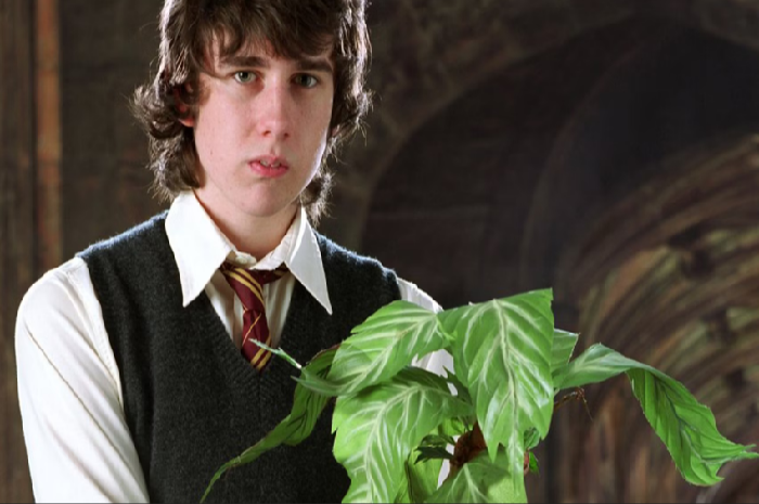 Neville Longbottom adalah salah satu karakter yang berjuang sejak awal hidupnya. Gryffindor yang kikuk hampir tidak pernah mengenal orang tuanya.
