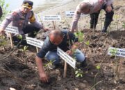 HUT Brimob dan Polairud, Polresta Sidoarjo Tanam 1.000 Mangrove