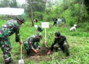 Ratusan Bibit Pohon Ditanam di Lereng Gunung Merapi dan Merbabu Boyolali