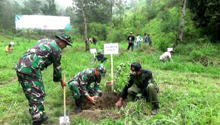 Ratusan Bibit Pohon Ditanam di Lereng Gunung Merapi dan Merbabu Boyolali