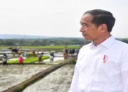 Dana Desa Bakal Naik, Jokowi Minta Akuntabilitas Terjaga
