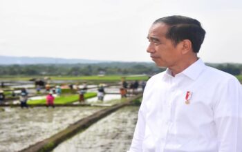Dana Desa Bakal Naik, Jokowi Minta Akuntabilitas Terjaga