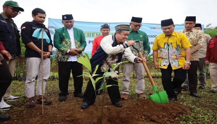 Muhammadiyah Peduli Lahan Kritis, Asosiasi Aren Nusantara Serahkan 2.000 Pohon Aren untuk Konservasi di Wonosobo