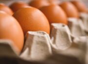 Harga Telur di Blitar, Tulungagung, Trenggalek Hari Ini Minggu 14 Juli 2024