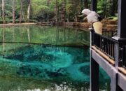 Telaga Rambut Monte, Wisata Blitar dengan Ikan Sengkaring yang Langka