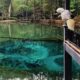 Telaga Rambut Monte, Wisata Blitar dengan Ikan Sengkaring yang Langka