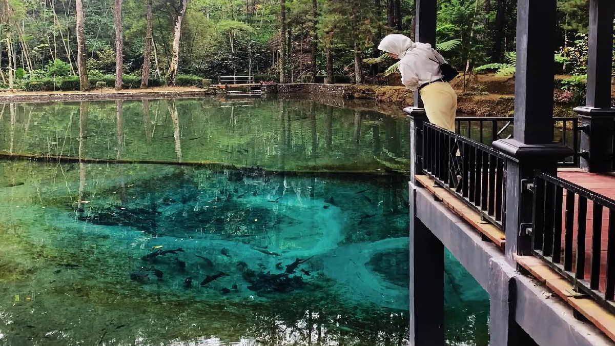 Telaga Rambut Monte, Wisata Blitar dengan Ikan Sengkaring yang Langka