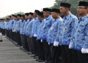 Wajib Tahu Warga Blitar Dokumen dan Syarat Daftaran CPNS 2024