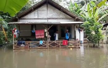 Hujan Deras 3 Hari, Empat Desa di Banyumas Terendam Banjir