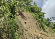 Longsor Tebing 30 Meter di Desa Bantarpanjang Cilacap Lumpuhkan Akses Dua Desa