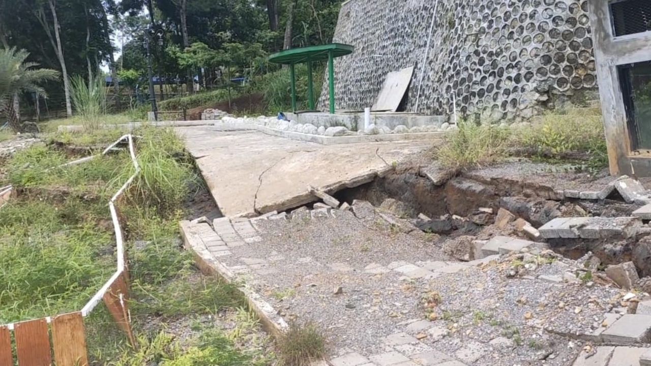 Dilarang Liput Longsor di Mini Zoo Purworejo, Hp dan Motor Milik Wartawan Ditahan, Diduga Perintah Dinas