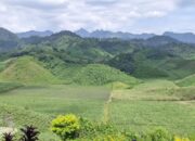 Candi, Pantai, dan Bukit Hijau: 10 Wisata Terbaik di Blitar