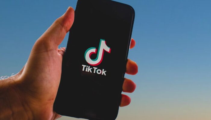 Jasa Followers TikTok: Strategi Meningkatkan Popularitas di Platform Sosial