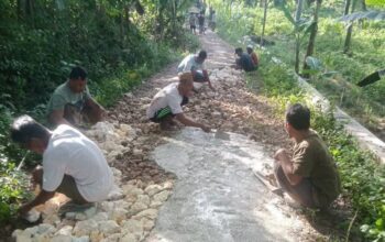 Masyarakat Desa Pakamban Daya Patungan Perbaiki Jalan Rusak