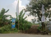 Pembangunan Gerbang Star Residence 5 Jombang Diduga Gunakan Lahan Perkebunan dan Rusak Warisan Sejarah Pembangunan Gerbang Star Residence 5 Jombang Diduga Gunakan Lahan Perkebunan dan Rusak Warisan Sejarah