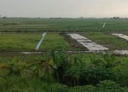Pembangunan Star Residence 5 Jombang Diduga Langgar Aturan: Lahan Pertanian Terancam