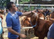 Wali Kota Blitar Pantau Stok Hewan Kurban di Pasar Dimoro Menjelang Idul Adha 2025