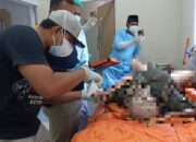 10 Hari Hilang, Warga Blitar Ditemukan Membusuk di Aliran Sungai