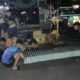 Bawa Ratusan Botol Arak Dua Warga Banyuwangi Diamankan Polres Blitar