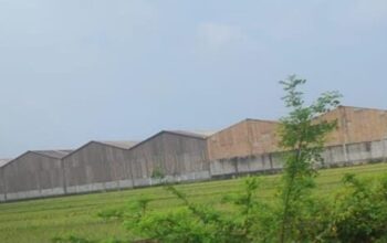 Bau Asap dari Pabrik Karet di Desa Segodorejo Jombang Bikin Resah Warga, Pemerintah Diminta Tindak