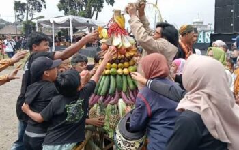 Festival Budaya Selo Ramaikan Lereng Merapi, Warga Antusias Berebut Gunungan di Boyolali