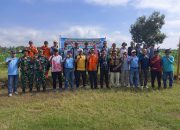 Dalam rangka menyambut Hari Kemerdekaan Republik Indonesia ke 80, sebanyak 1500 pohon Tabebuya ditanam di Desa Karangreja, Kecamatan Kutasari, Kabupaten Purbalingga
