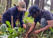 Tim Sipatokkong UKM KPI Unhas Dorong Inovasi Agrowisata Kopi Berbasis Komunitas di Desa Mattabulu