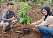 Kebun Pengantin KUA Kutoarjo Purworejo: Menyatukan Cinta dengan Menanam Alpukat