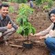 Kebun Pengantin KUA Kutoarjo Purworejo: Menyatukan Cinta dengan Menanam Alpukat
