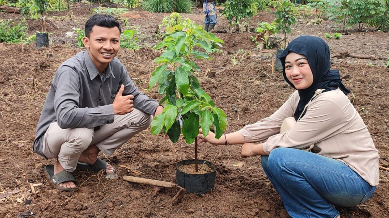 Kebun Pengantin KUA Kutoarjo Purworejo: Menyatukan Cinta dengan Menanam Alpukat