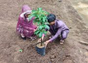 Kebun Pengantin, Inovasi KUA Kutoarjo Purworejo Wujudkan Ekowisata dan Ketahanan Ekonomi