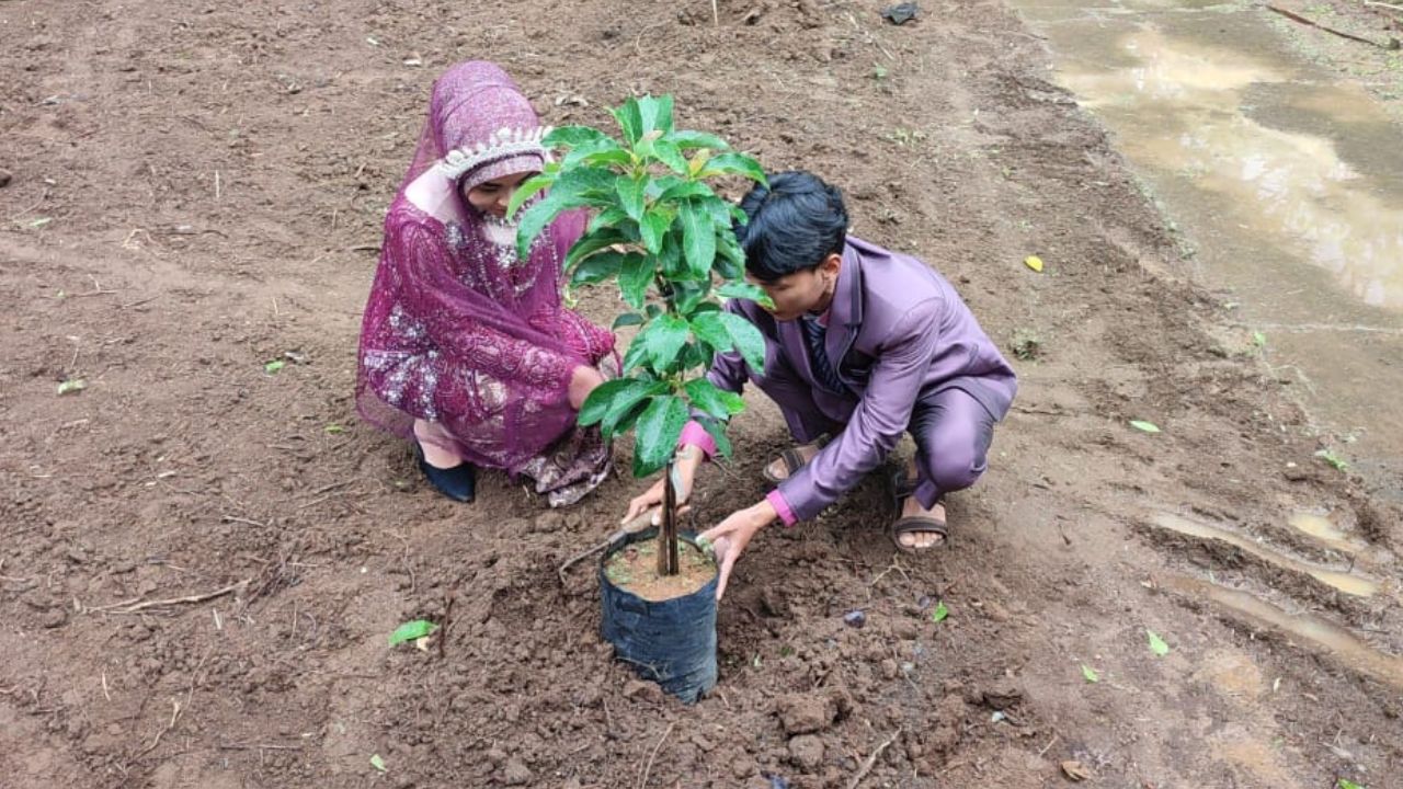 Kebun Pengantin, Inovasi KUA Kutoarjo Purworejo Wujudkan Ekowisata dan Ketahanan Ekonomi