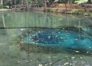 Pesona Tersembunyi Blitar: Kawasan Wisata Rambut Monte, Destinasi Alam dan Sejarah yang Memikat Hati