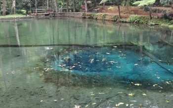 Pesona Tersembunyi Blitar: Kawasan Wisata Rambut Monte, Destinasi Alam dan Sejarah yang Memikat Hati