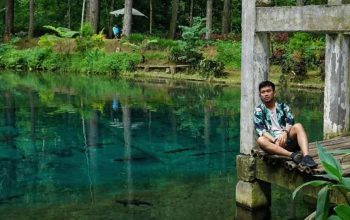 Rambut Monte Blitar dengan Gardu Pandang Megah dan Kolam Renang Siap Manjakan Pengunjung