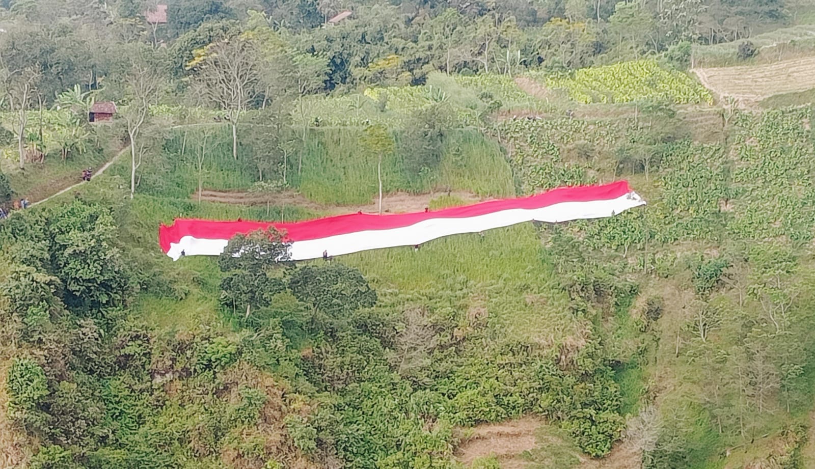 Bendera Berukuran Raksasa Dibentangkan TNI Polri di Lereng Gunung Merapi Boyolali